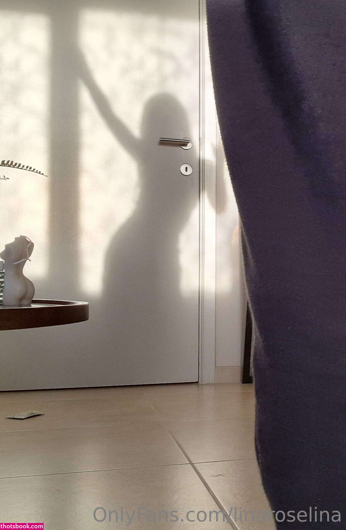 Lina Roselina Nude OnlyFans Photos #5 1102916