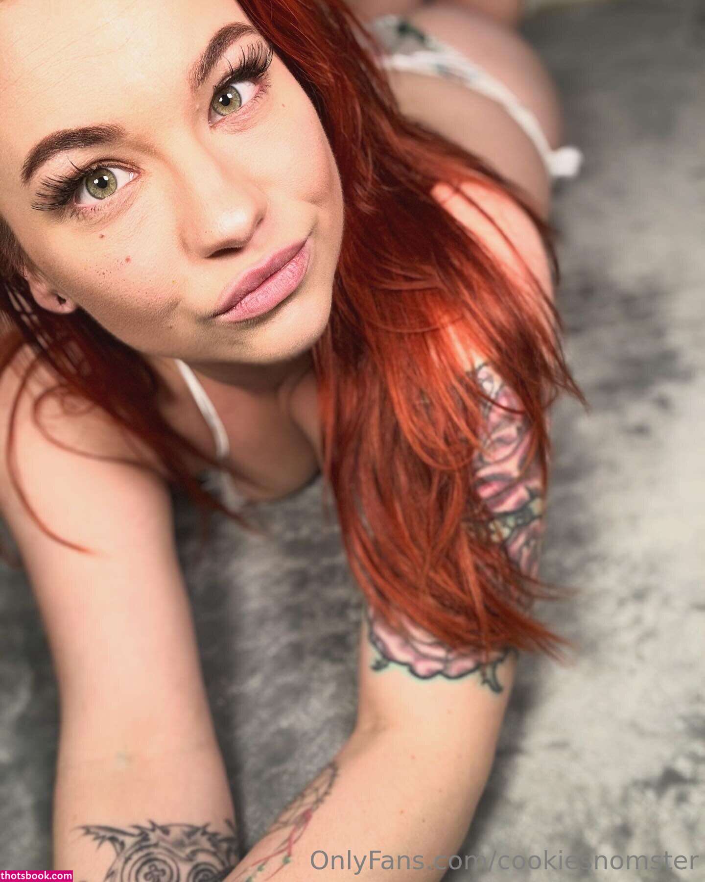 cookiesnomster Nude Leaks OnlyFans Photos #1 1792185