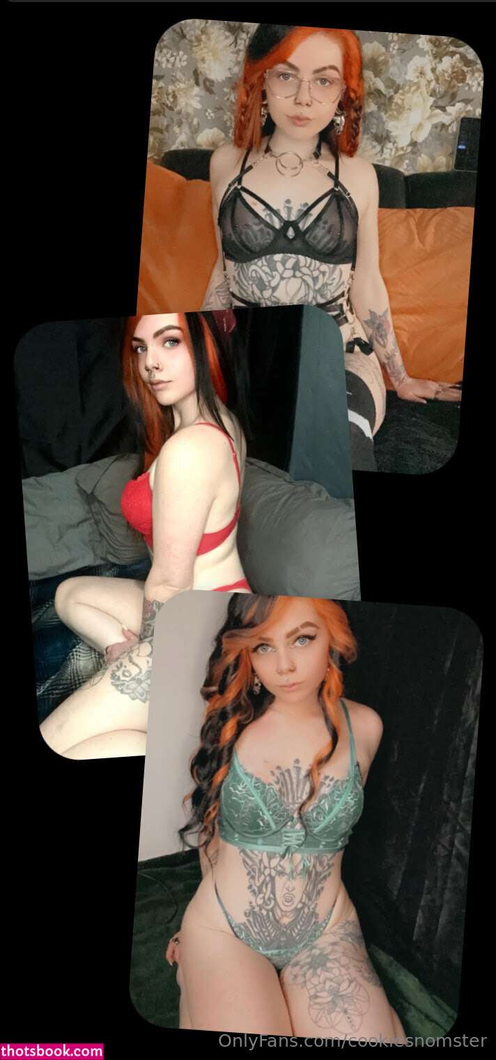 cookiesnomster Nude Leaks OnlyFans Photos #4 1792199