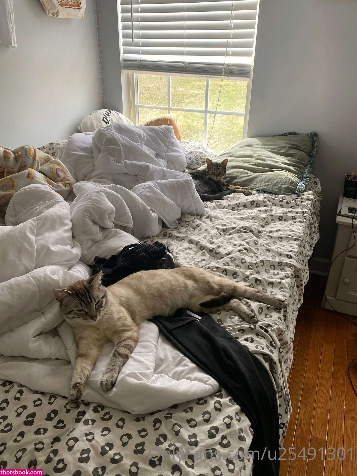 qquueeeennbbbb Nude Leaks OnlyFans Photos #5 1778599