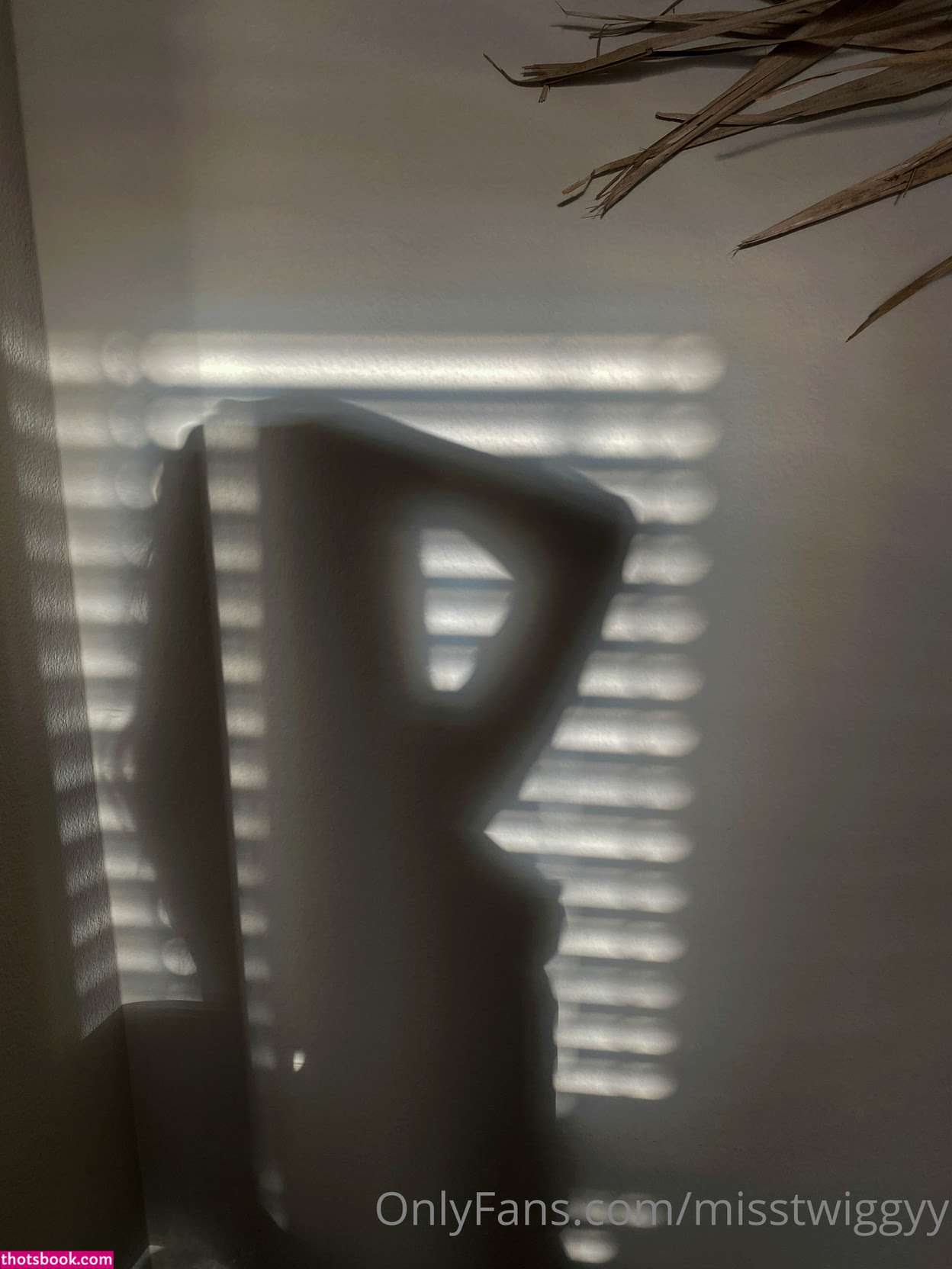 misstwiggyy Nude Leaks OnlyFans Photos #4 1773954