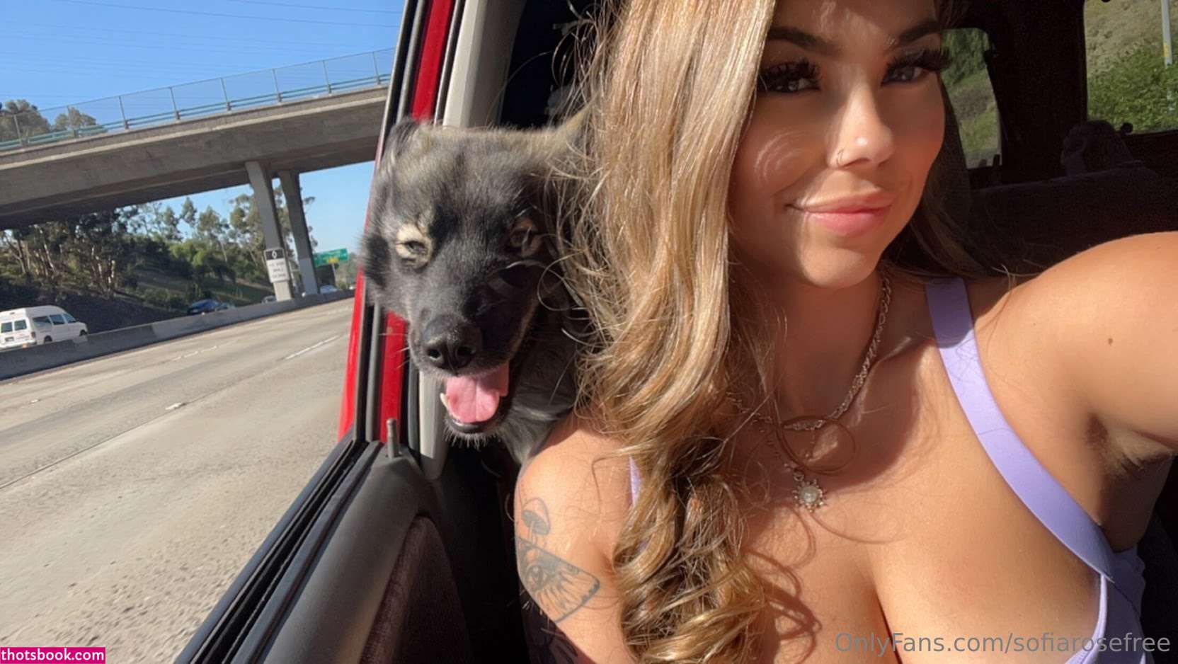 sofiarosefree Nude Leaks OnlyFans Photos #3 1774954