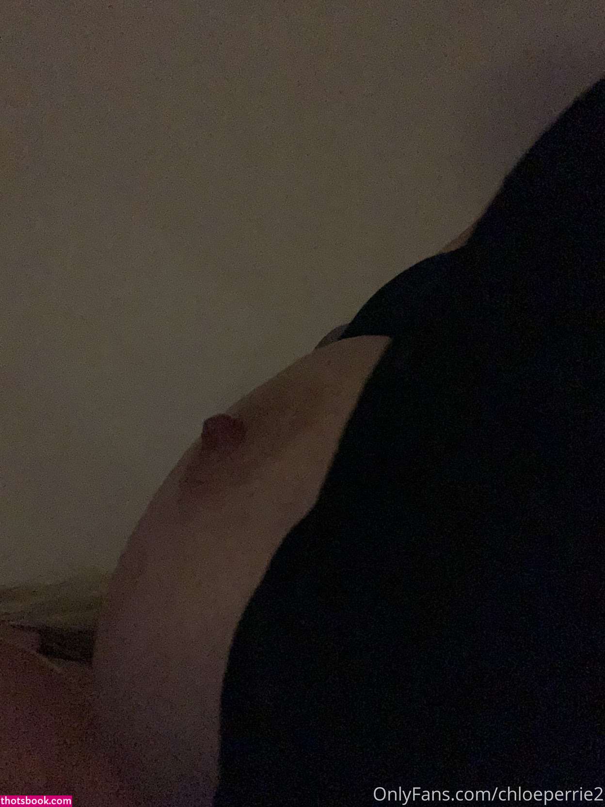 chloeperrie2 Nude Leaks OnlyFans Photos #2 1783671