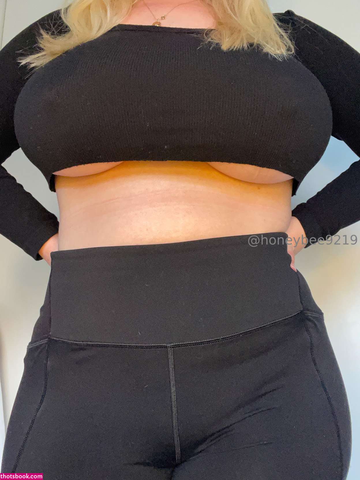 honeybee9219 Nude Leaks OnlyFans Photos #6 1780333